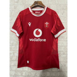 Gales RUGBY 2025
