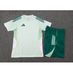 Kit Entrenamiento Verde AD player